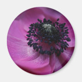 Anemone Round Magnet (Vorne)