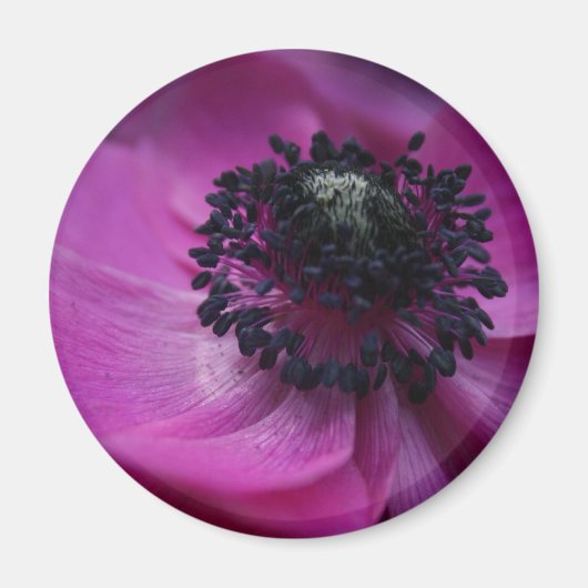 Anemone Round Magnet (Vorne)