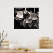 Anemone Schwarz-Weiß-Blütenfotografie Poster (Küche)