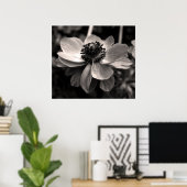 Anemone Schwarz-Weiß-Blütenfotografie Poster (Heimbüro)