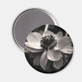 Anemone Schwarz-weiß Fotografie Round Magnet (Vorderseite/Rückseite)