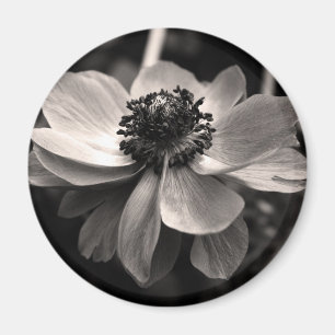 Anemone Schwarz-weiß Fotografie Round Magnet