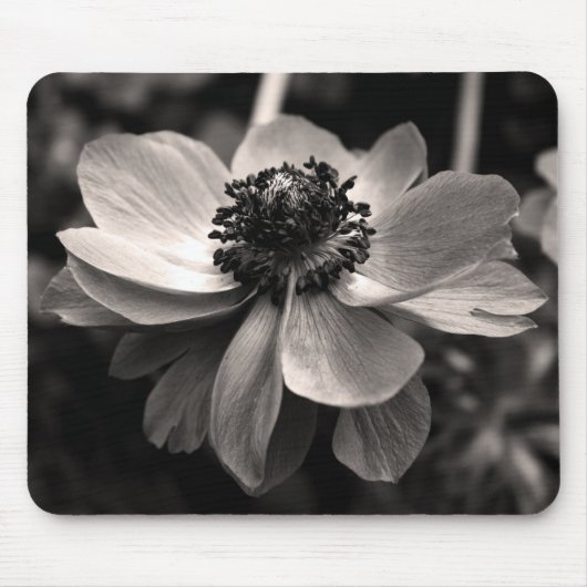 Anemone Sepia Blumenfotografie Mauskissen Mousepad (Vorne)