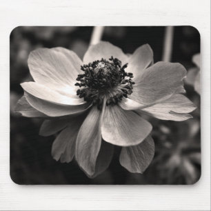 Anemone Sepia Blumenfotografie Mauspad