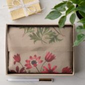 Anemone Stellata Varr (Anemone Hortensis Varr) Seidenpapier (Geschenk)