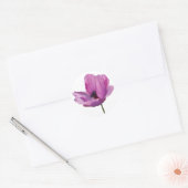 Anemone Sticker (Umschlag)