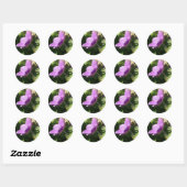 Anemone Stickers (Blatt)