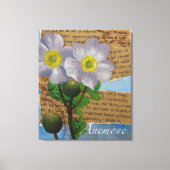 Anemone Stretched Canvas Print Leinwanddruck (Vorderseite)