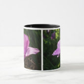 Anemone-Tasse Tasse (Zentrum)