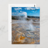 Anemone und alte treue Geysers Eruptionen Postkarte (Vorne/Hinten)