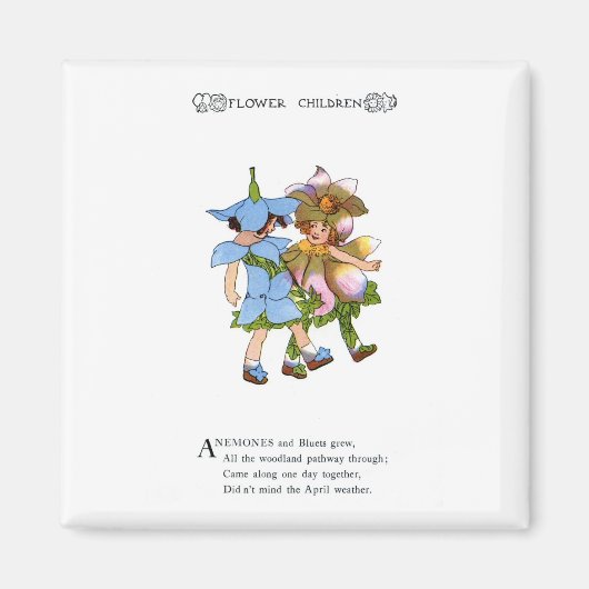 Anemone und Bluets Magnet (Vorne)