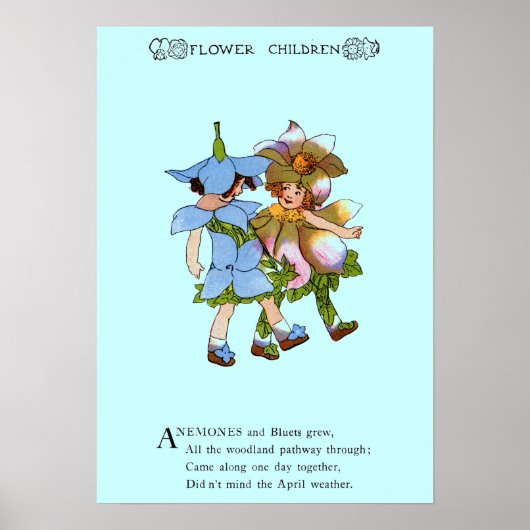 Anemone und Bluets Poster (Vorne)