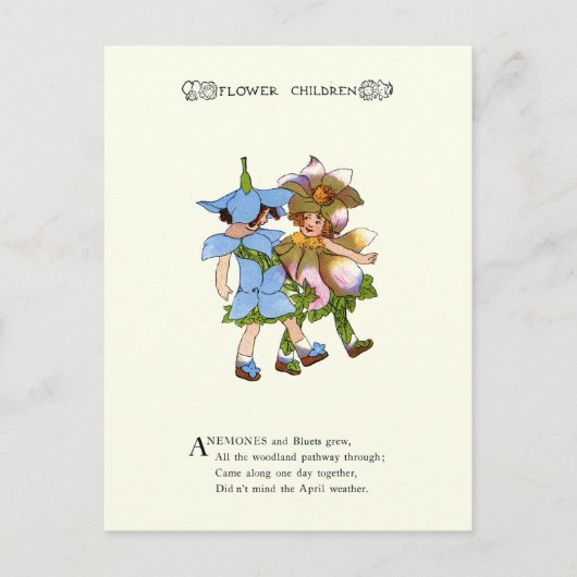 Anemone und Bluets Postkarte (Vorderseite)