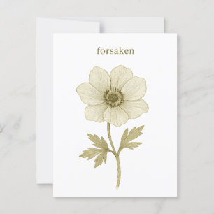 Anemone — verlassen postkarte