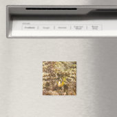 Anemonefisch des Klarks (Amphiprion) Magnet (In Situ (Geschirrspüler))