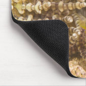 Anemonefisch des Klarks (Amphiprion) Mousepad (Ecke)