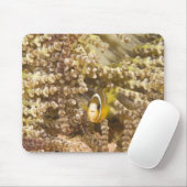 Anemonefisch des Klarks (Amphiprion) Mousepad (Mit Mouse)