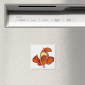 Anemonefisch (Premnas biaculeatus) Magnet (In Situ (Geschirrspüler))