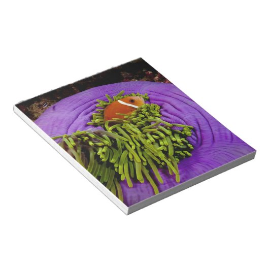 Anemonefische und große Anemone Notizblock (angewinkelt)