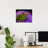 Anemonefische und große Anemone Poster (Heimbüro)