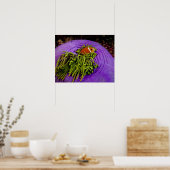 Anemonefische und große Anemone Poster (Küche)