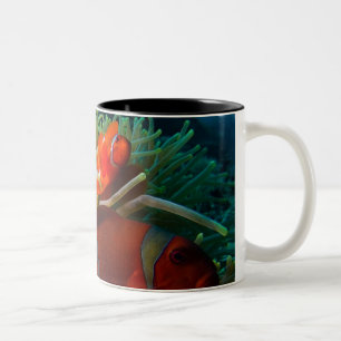 Anemonefish Kaffee-Tasse Zweifarbige Tasse