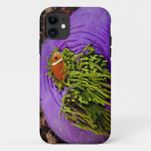 Anemonefish und große Anemone Case-Mate iPhone Hülle