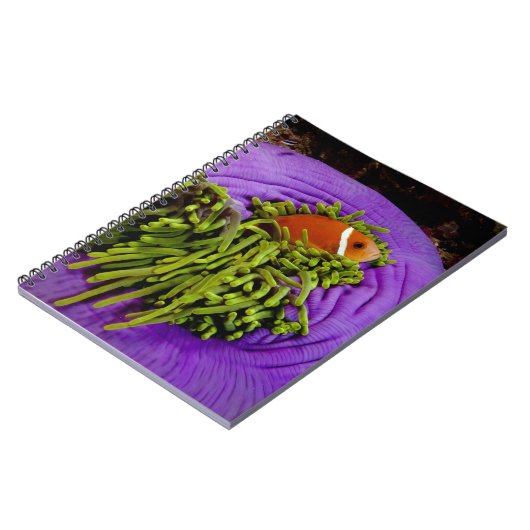 Anemonefish und große Anemone Notizblock (Linke Seite)