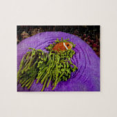 Anemonefish und große Anemone Puzzle (Horizontal)
