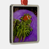 Anemonefish und große Anemone Silbernes Ornament (Rechts)