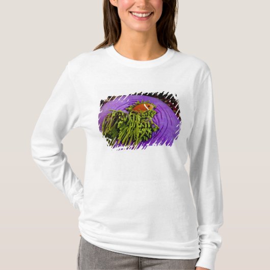Anemonefish und große Anemone T-Shirt (Vorderseite)