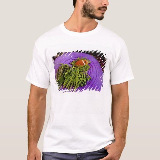 Anemonefish und große Anemone T-Shirt (Vorderseite)