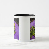 Anemonefish und große Anemone Tasse (Zentrum)