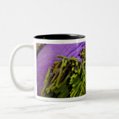 Anemonefish und große Anemone Zweifarbige Tasse (Links)