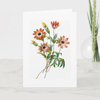 Anemonen-Geburtstags-Gruß-Karte Karte