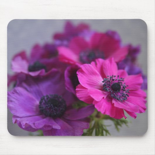 Anemonen mousepad (Vorne)