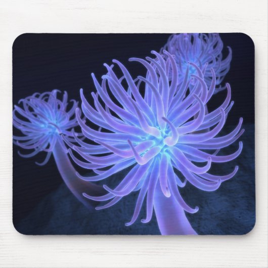 Anemonen Mousepad (Vorne)