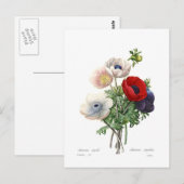 Anemonen Postkarte (Vorne/Hinten)