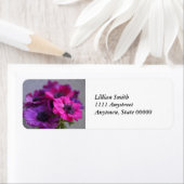 Anemonen-Rücksendeadressen-Aufkleber (Insitu)