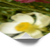 Anemonenfeld Poster (Ecke)