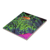 Anemonenfisch im Anemone, Mosambik 2 Fliese (Seite)