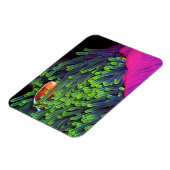 Anemonenfisch im Anemone, Mosambik 2 Magnet (Linke Seite)