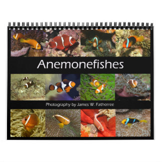 Anemonenfische Wandkalender von J.W. Fatherree.