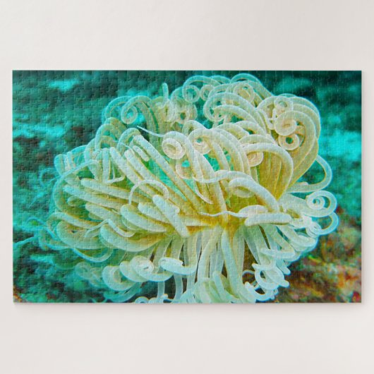Anemonie Puzzle (Horizontal)