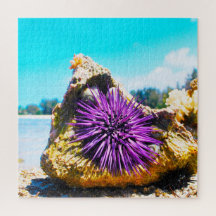 Anemonie
