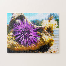 Anemonie