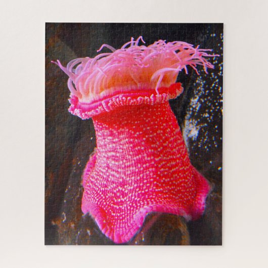 Anemonie Puzzle (Vertikal)