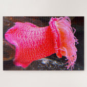 Anemonie Puzzle (Horizontal)