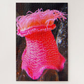 Anemonie Puzzle (Vertikal)