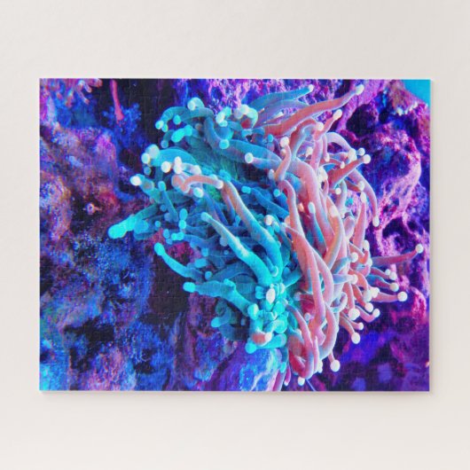 Anemonie Puzzle (Horizontal)